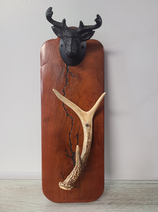 Deer Antler Rack