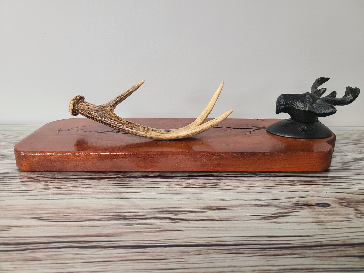 Deer Antler Rack