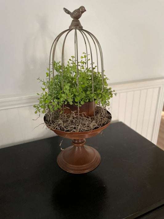 Faux Plant in Birdcage - 1
