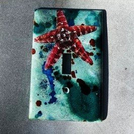 Starfish switchplate - 1