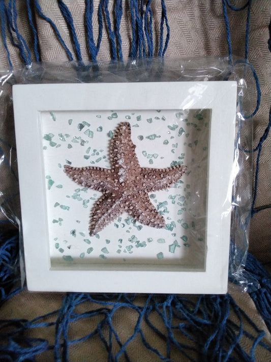 Mini-Starfish Frame - 754 - 1