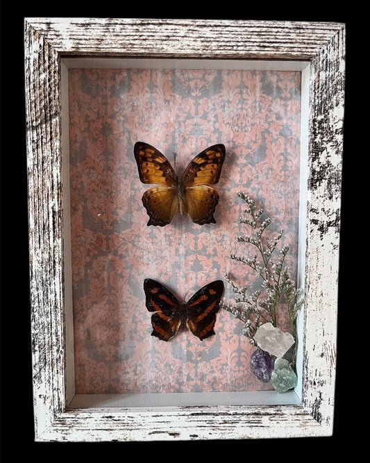 Framed Butterfly and Crystal  - 1