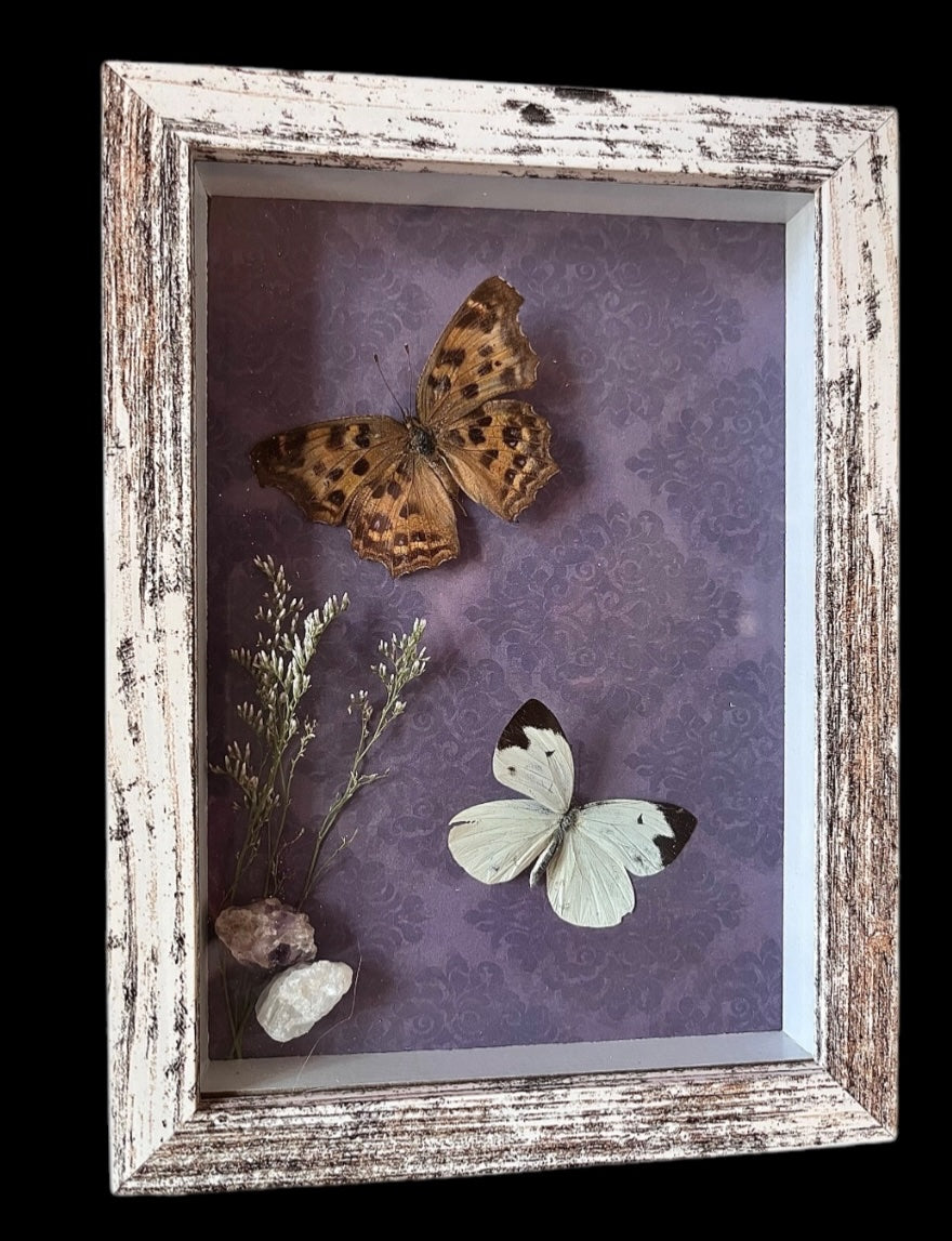 Framed butterfly and crystal - 1