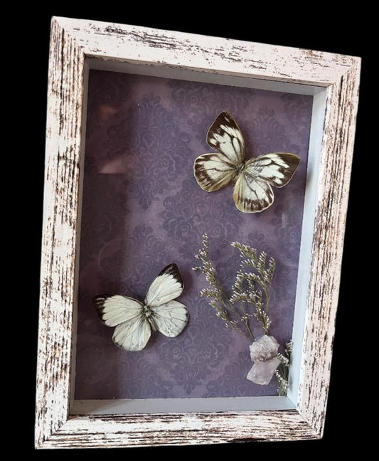 Framed butterfly with crystals  - 1