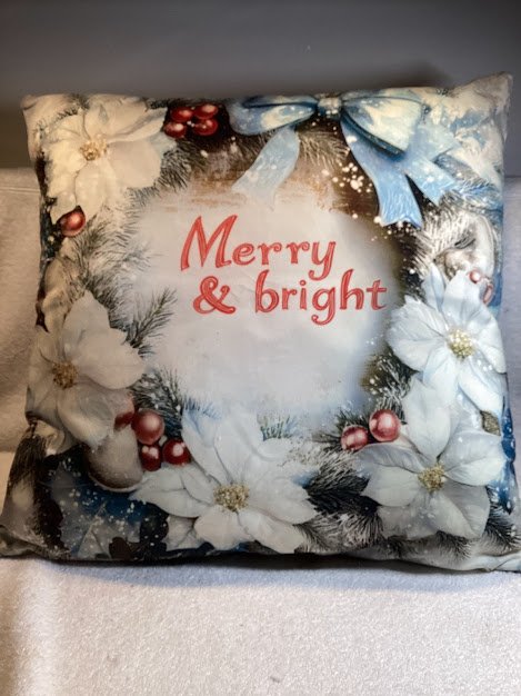 Pillow Covers with quality pillow forms - 25