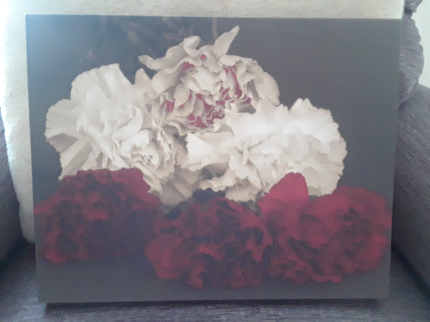 "Carnations POP"  - 1