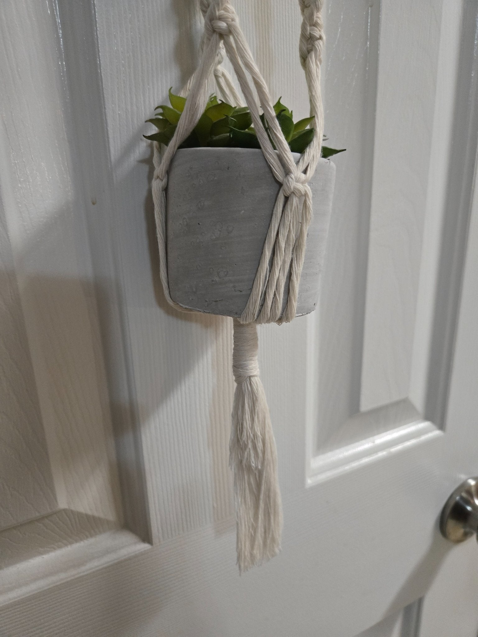 Macrame Plant Hanger - Natural - 2