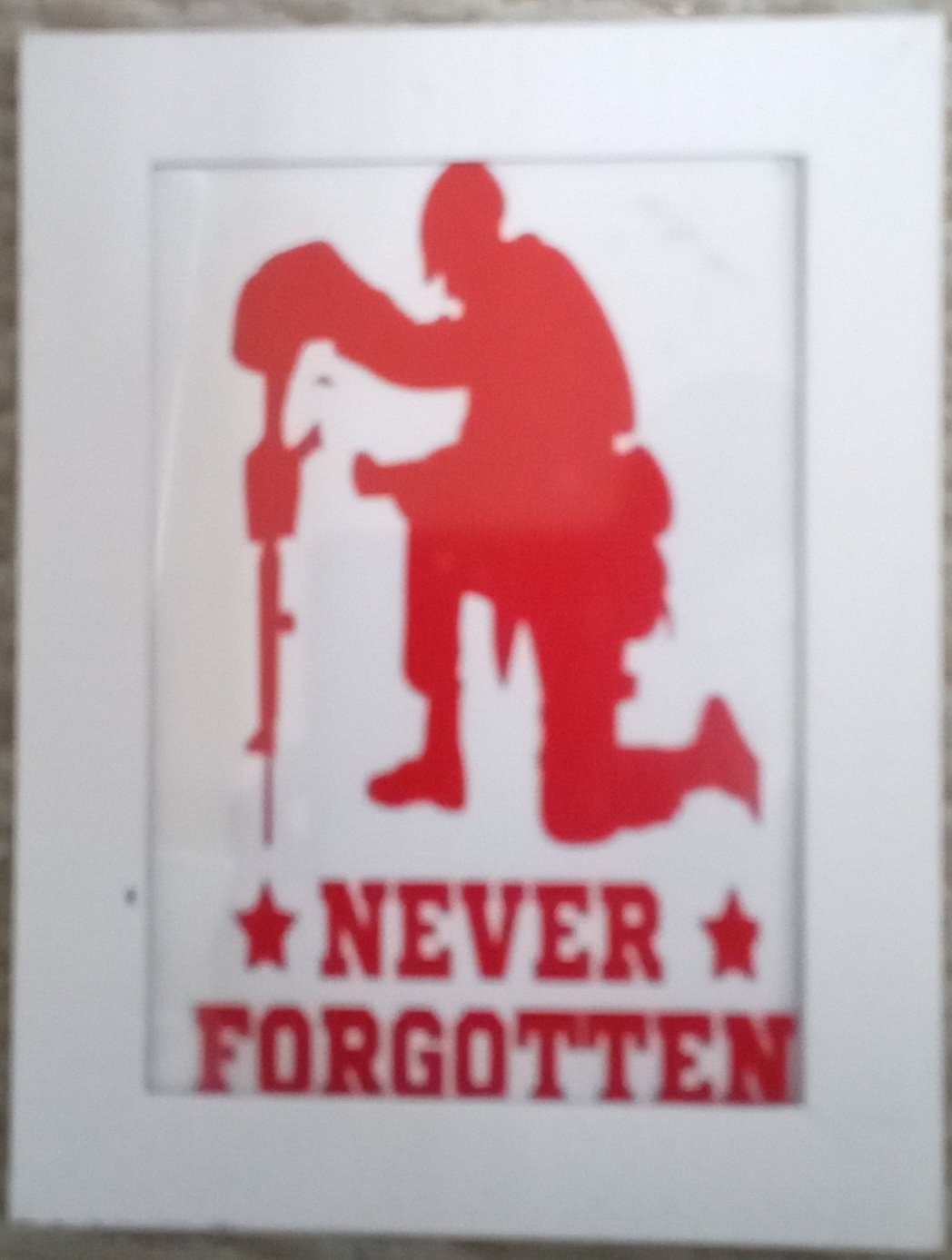 Red/ White veteran frame - 1