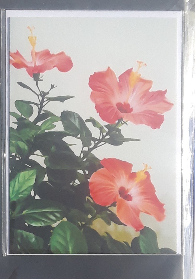 Pink Hibiscus Trio cards - 1