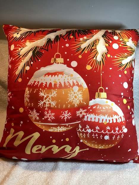 Pillow Covers with quality pillow forms - 57