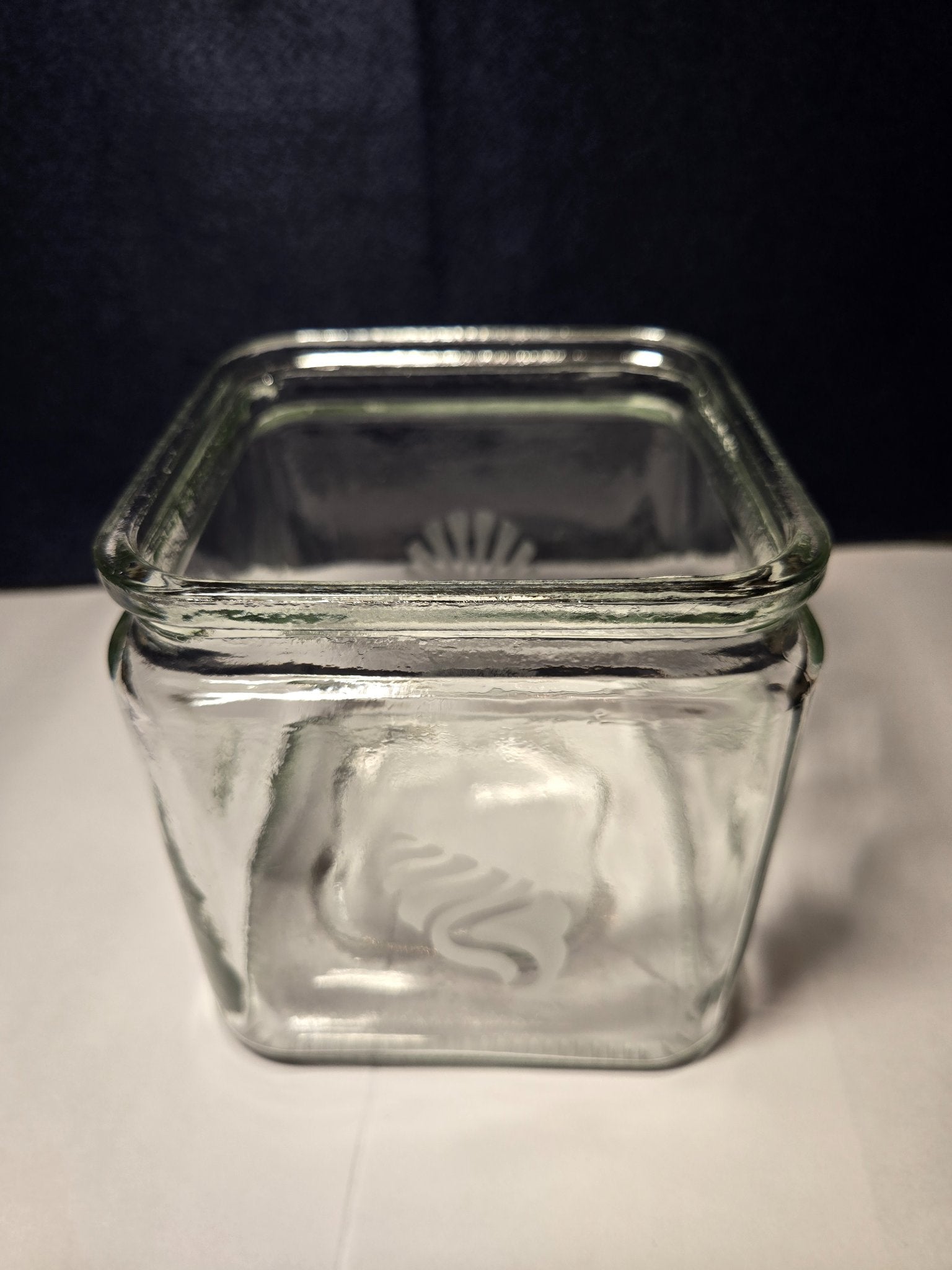 Etched Shell Container - 3