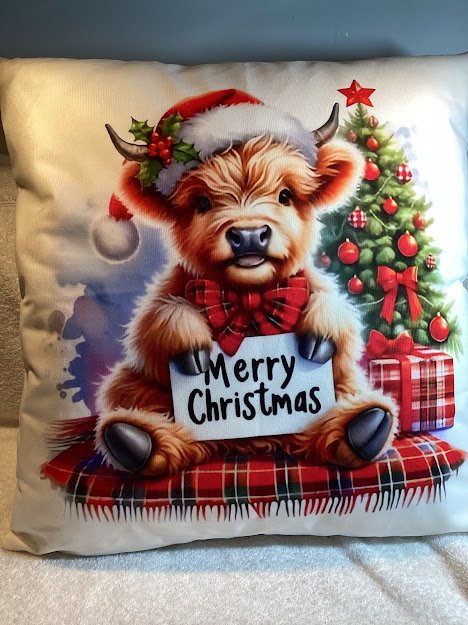 Pillow Covers with quality pillow forms - 18