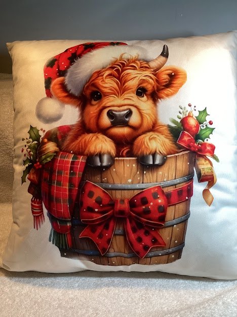Pillow Covers with quality pillow forms - 67