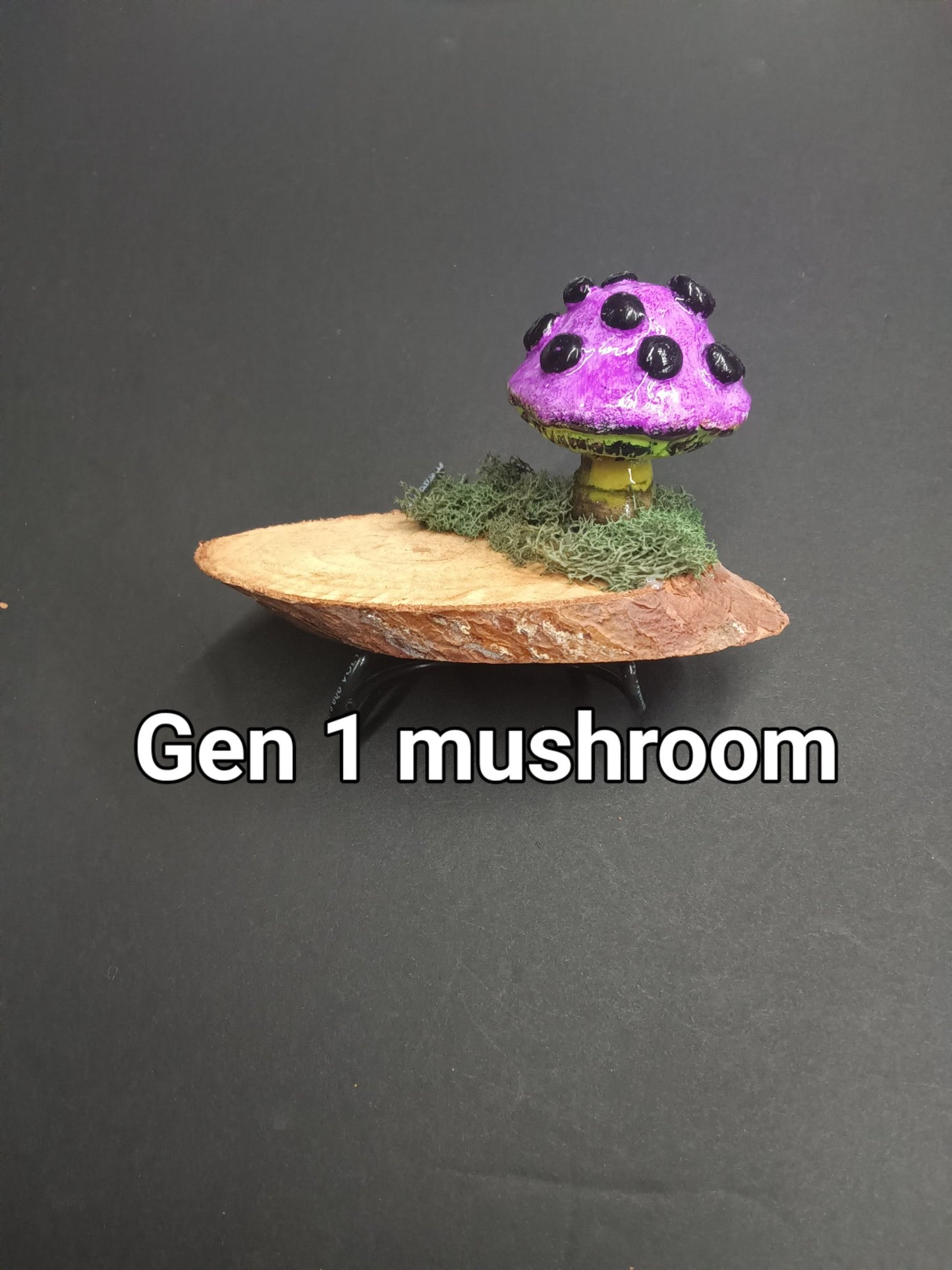 fantasy mushroom gen 1 - 7