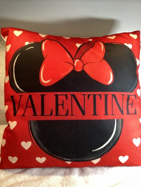 Pillow Covers with quality pillow forms Valentine's Day - 6