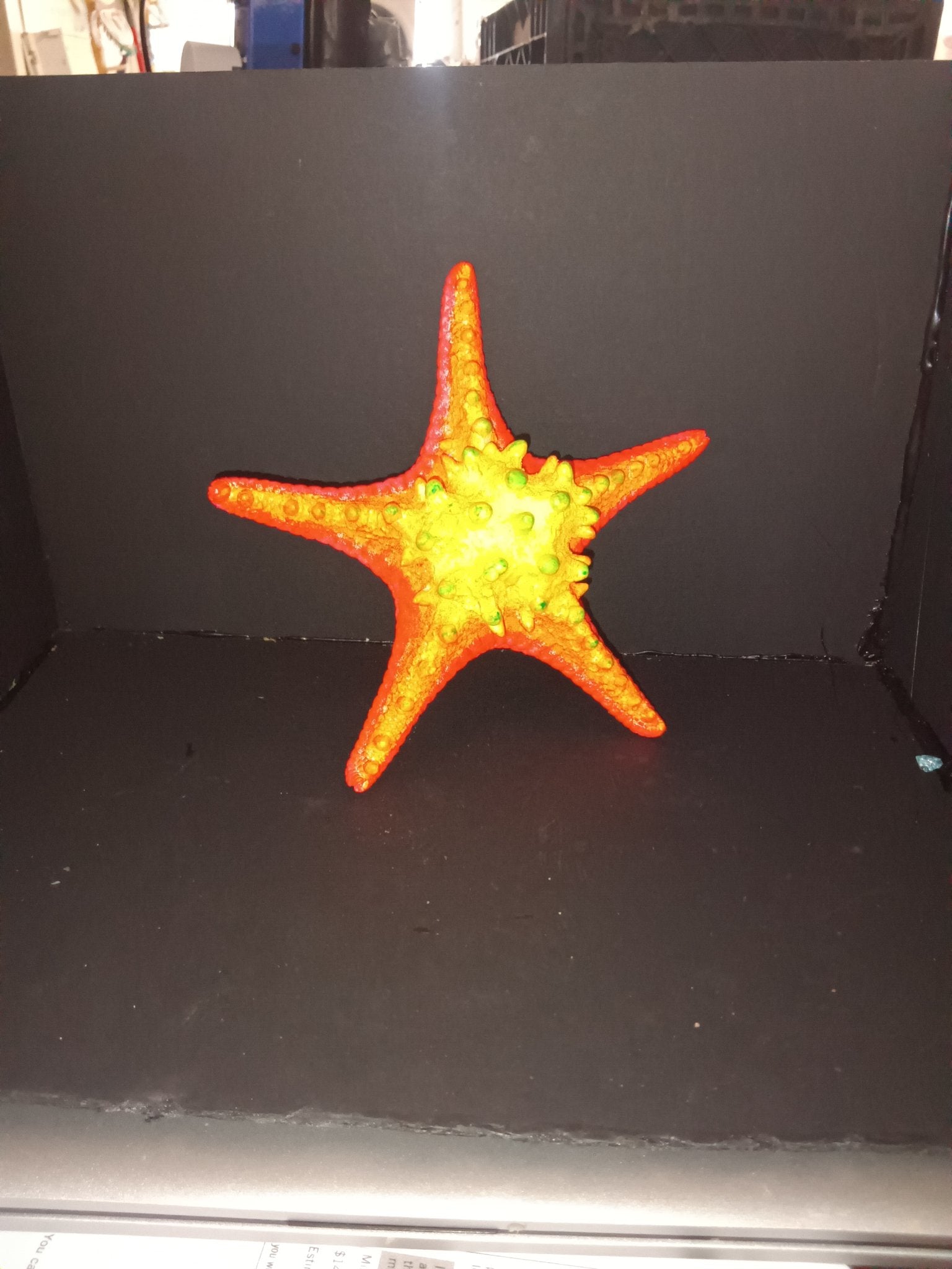 STAR FISH - 1