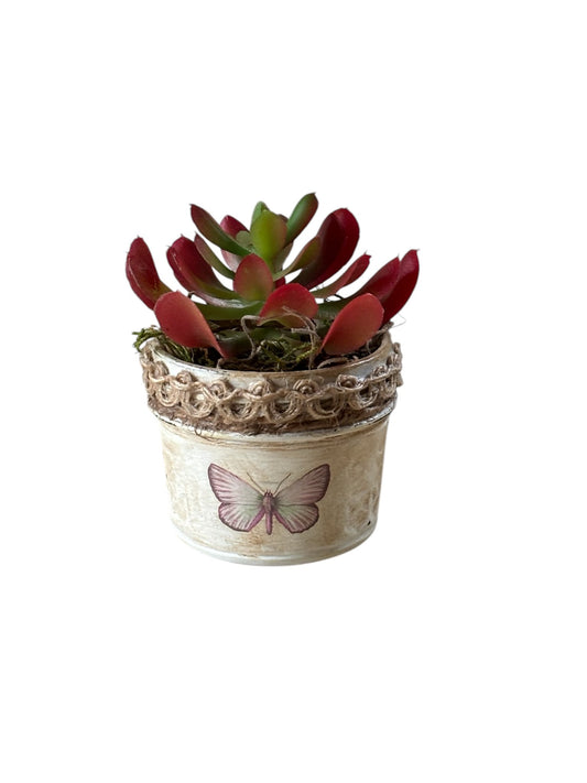 Butterfly succulent cup - 1