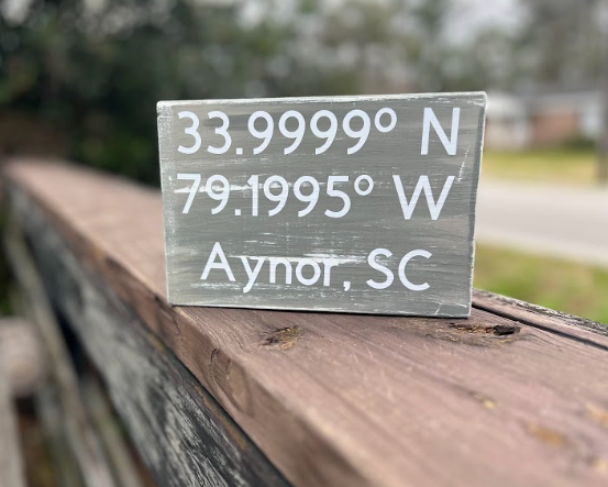 Aynor Coordinates Sign - 2