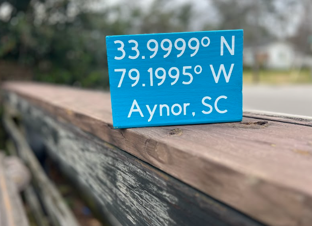 Aynor Coordinates Sign - 3